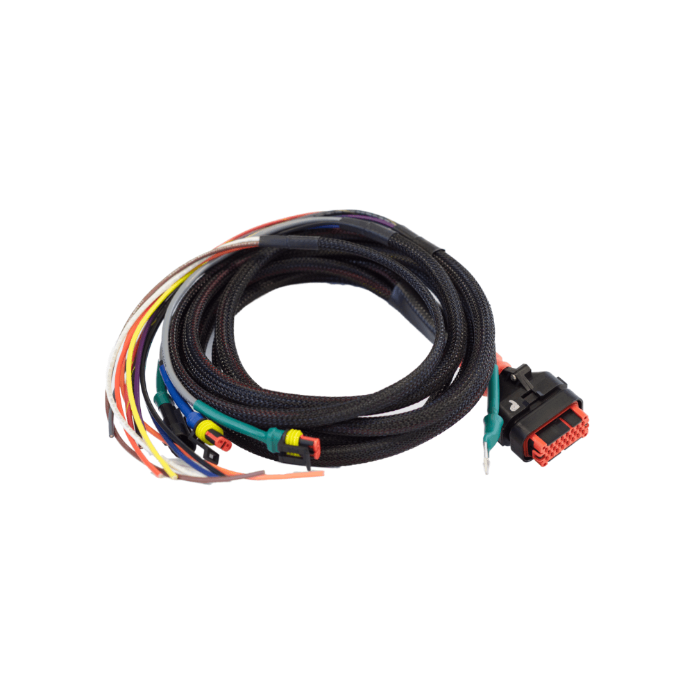 [MGWS5000278] Wakespeed WS500 PRO Kabelset P-type